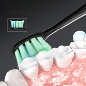 Freshpulse - wiederaufladbare Zahnbürste mit Bürstenköpfen-3