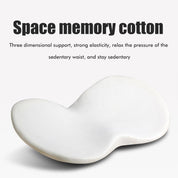 Auto -Booster -Sitzkissen für Erwachsene