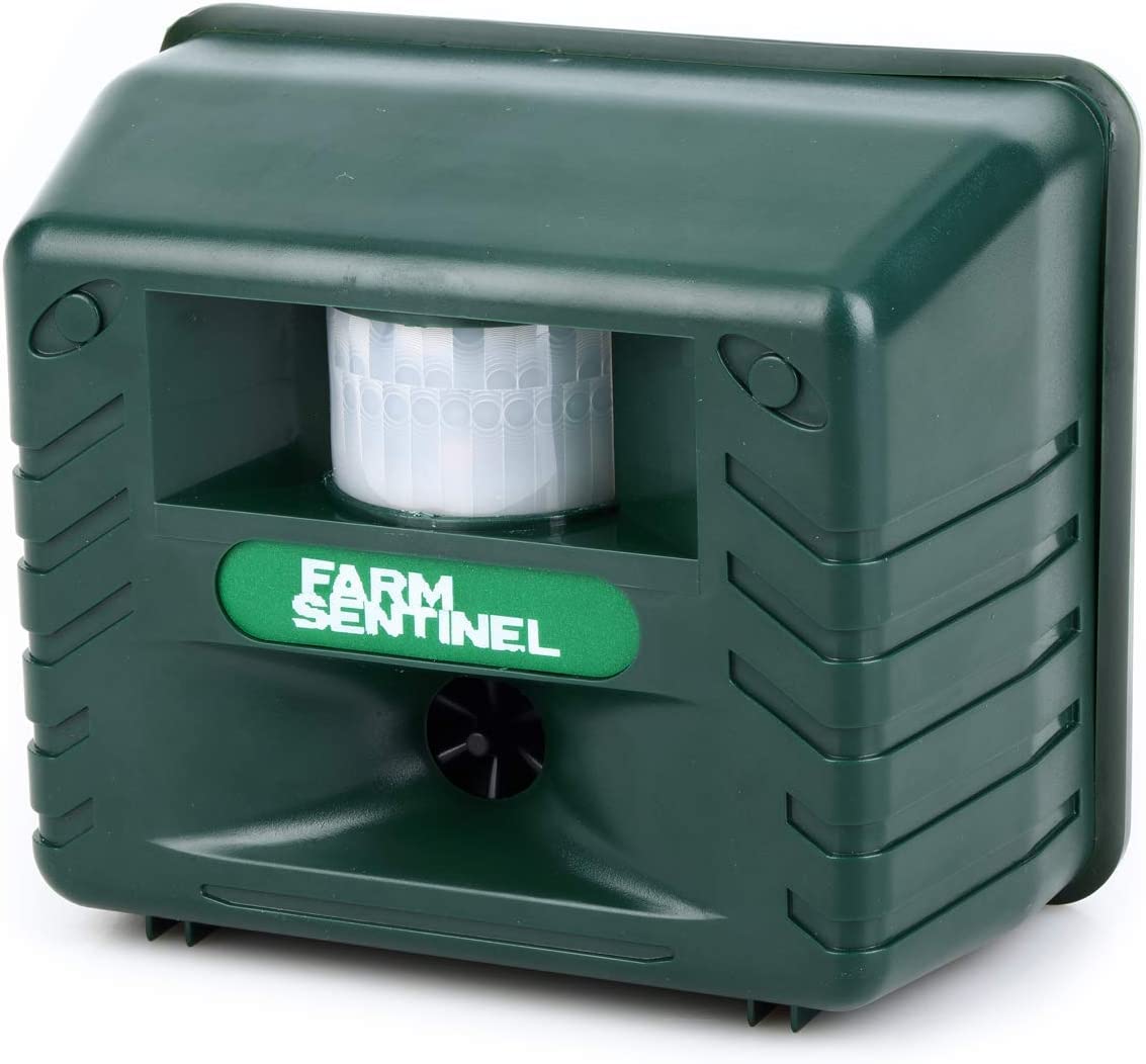 Specht -Ultraschall -Repeller für eine effektive Vogelkontrolle - Werden Sie Spechte los