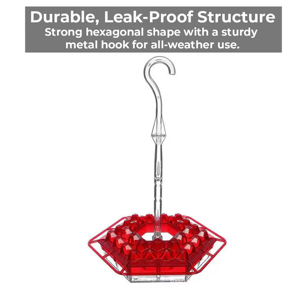 Ameisensicheres Kolibri-Feeder mit 30 bienenresistenten Anschlüssen 2