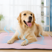 Kühlende Haustier decke – Die frische  Kühldecke Lösung für Hunde & Katzen an heißen Tagen