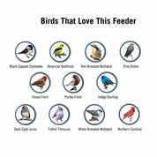 Eichhörnchen -Proof -Vogelhäuschen 5