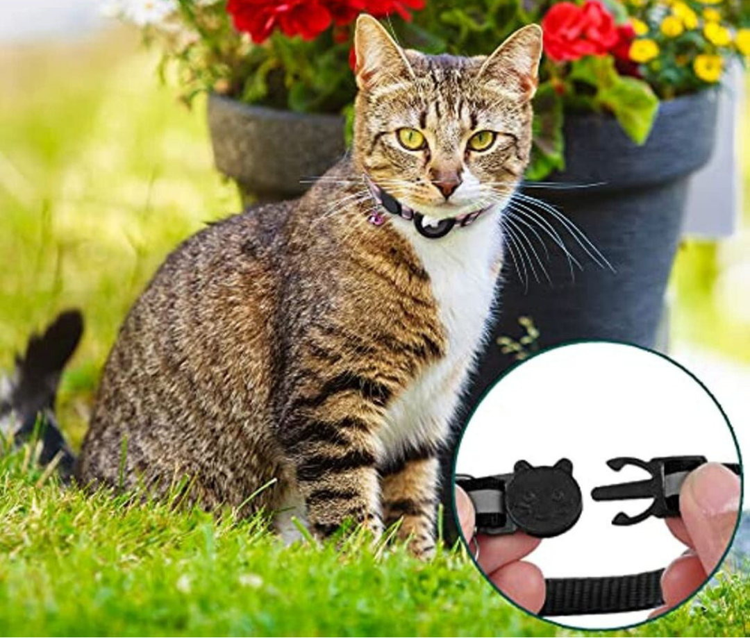 GPS-Tracker-Halsband für Katzen | Schnellverschluss, reflektierendes Design und langlebig für sichere Outdoor-Abenteuer 8