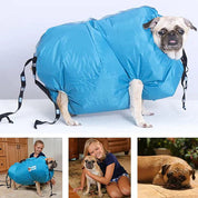 Haustier-Trockenjacke mit Warmluftfunktion 3