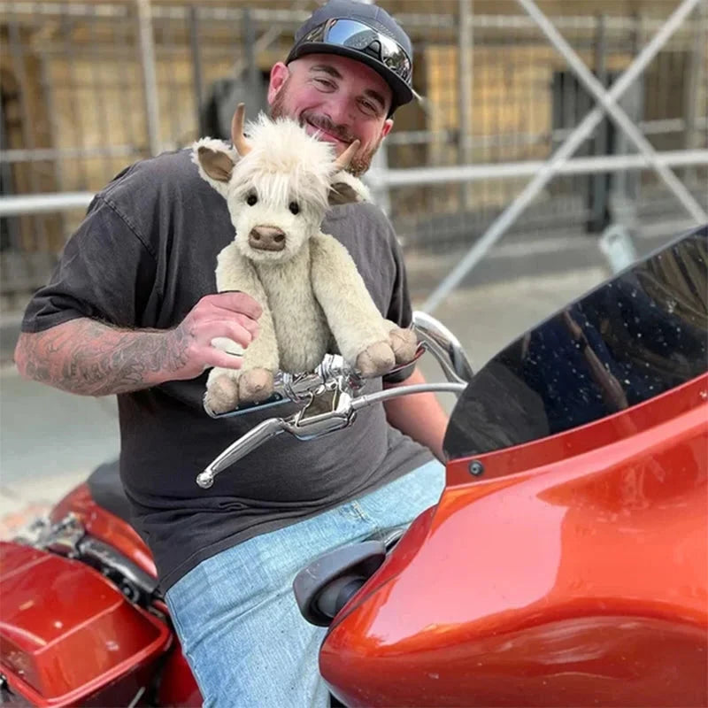 Hochlandkuh trägt Blumen 5