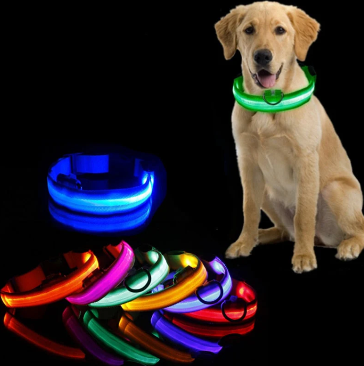 Hundehalsband mit LED-Leuchten 1