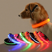 Hundehalsband mit LED-Leuchten 2