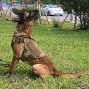K9 Harness – Taktisches Hundegeschirr für Hunde 4