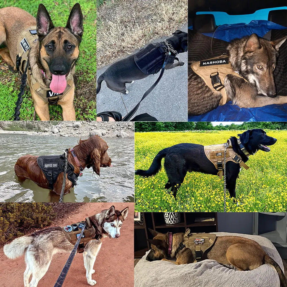 K9 Harness – Taktisches Hundegeschirr für Hunde 6