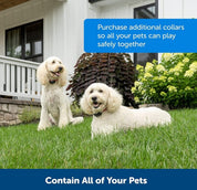 Kabelloses Hundezaunkragensystem - unsichtbar und wasserdicht 5