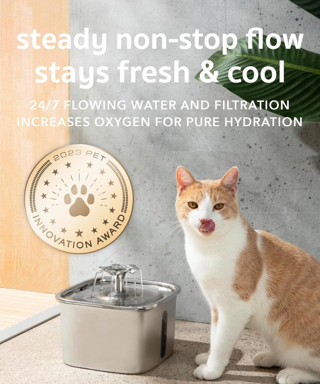 Katzentrinkbrunnen aus Edelstahl 2