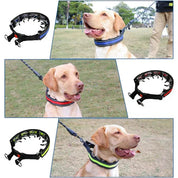 LeadEase Anti-Zug-Halsband | Anti-Zug-Trainingshalsband für kontrollierte und entspannte Spaziergänge 2