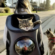 Reisekatze -Rucksack für größere Katzen 0