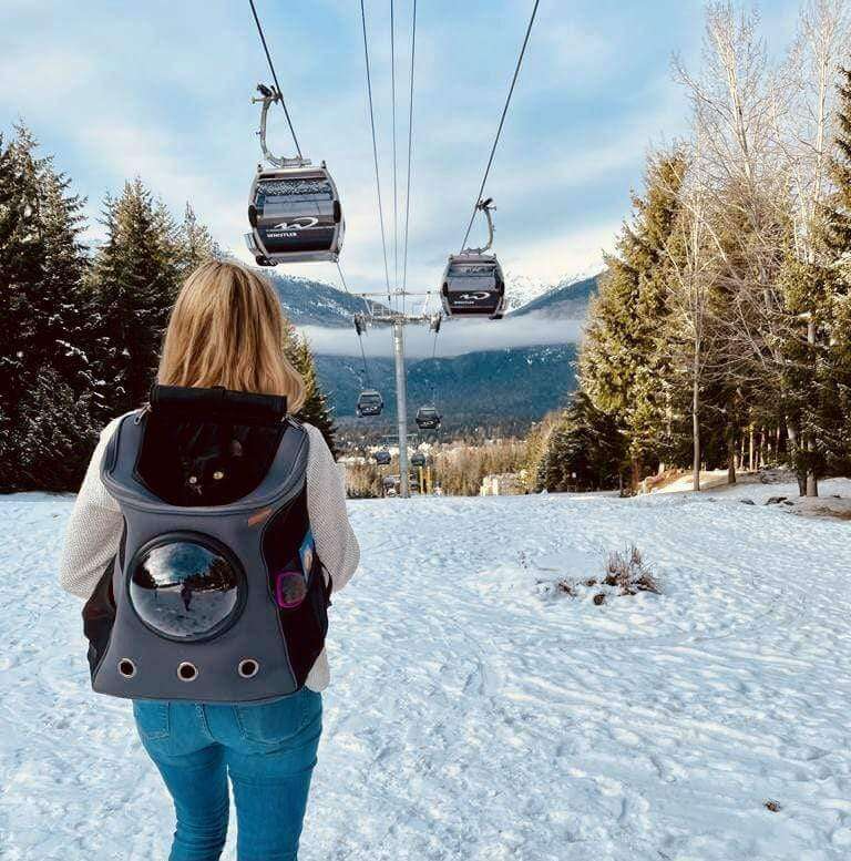 Reisekatze -Rucksack für größere Katzen 2