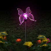 Solar Gartenlampe mit Buntkolibri, Schmetterling und Libelle – Wetterfestes, Umweltfreundliches Design für Charmante Außenbeleuchtung 8