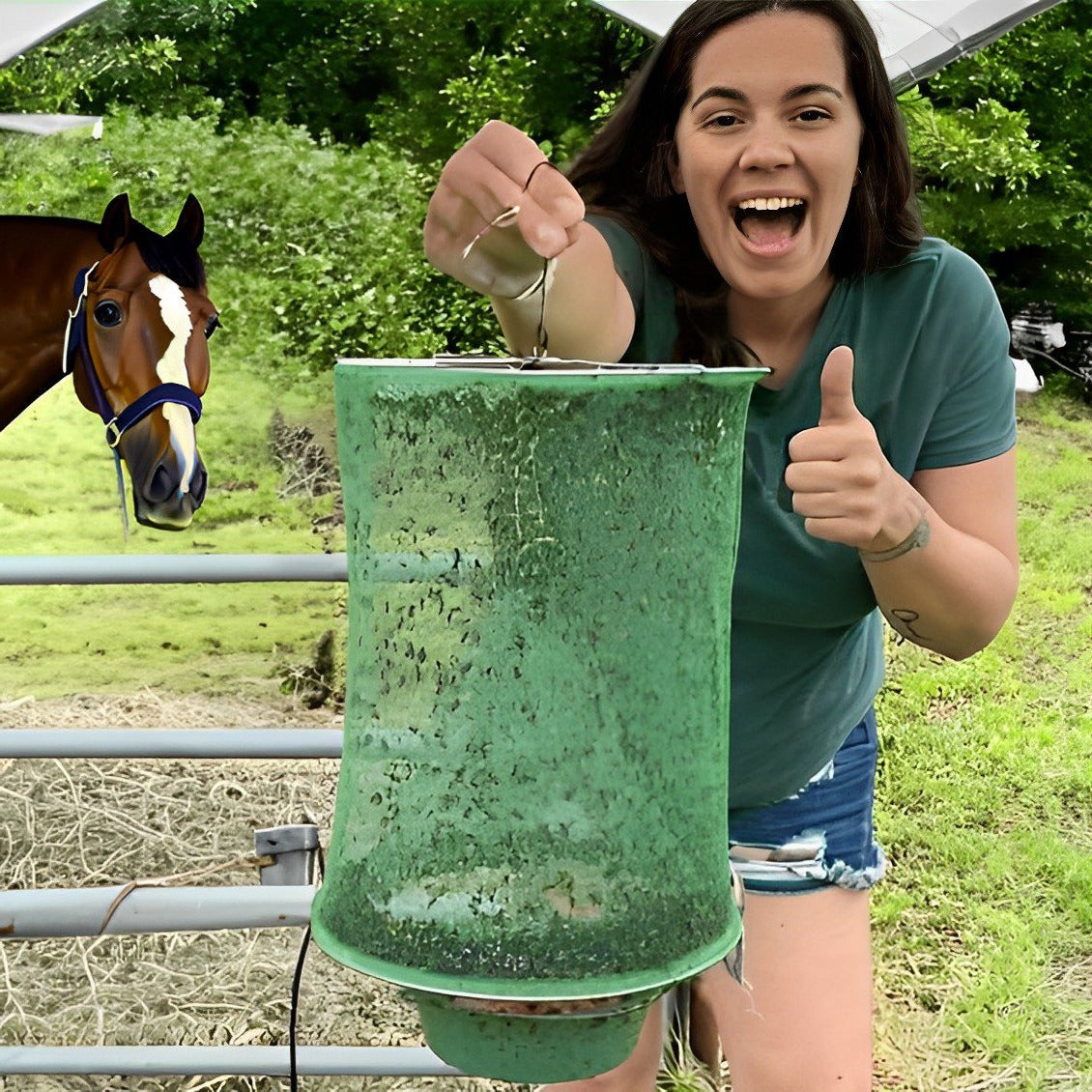 Stabile Fliegenfalle 0