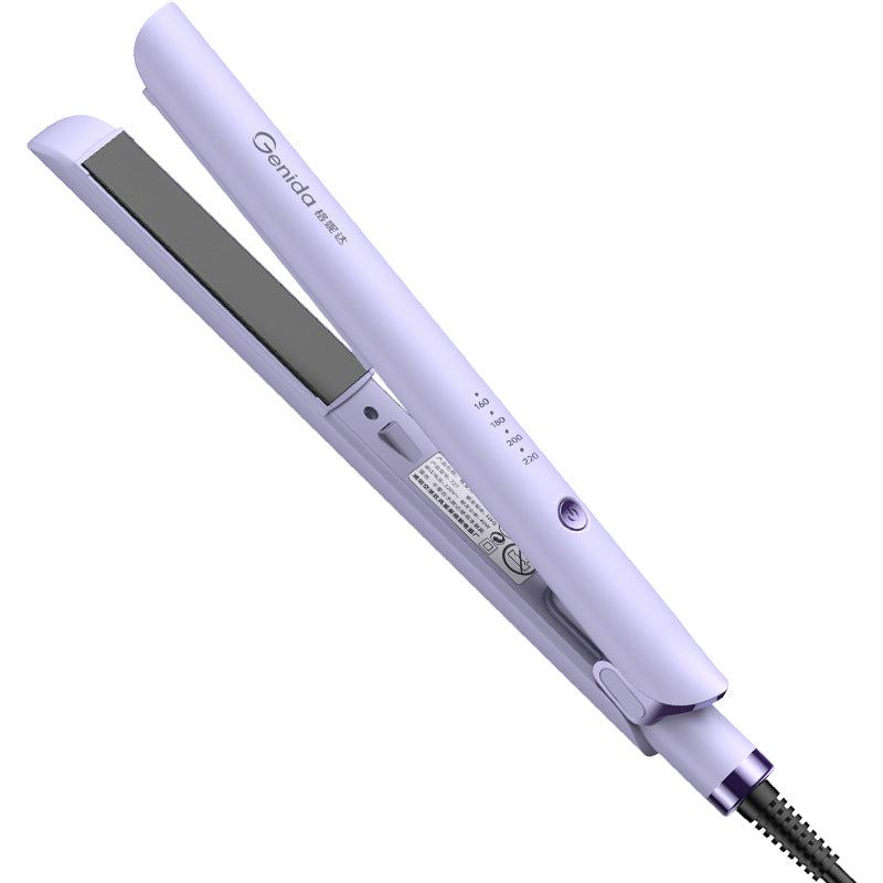 SteamPro - Professioneller Dampfglätterer 1