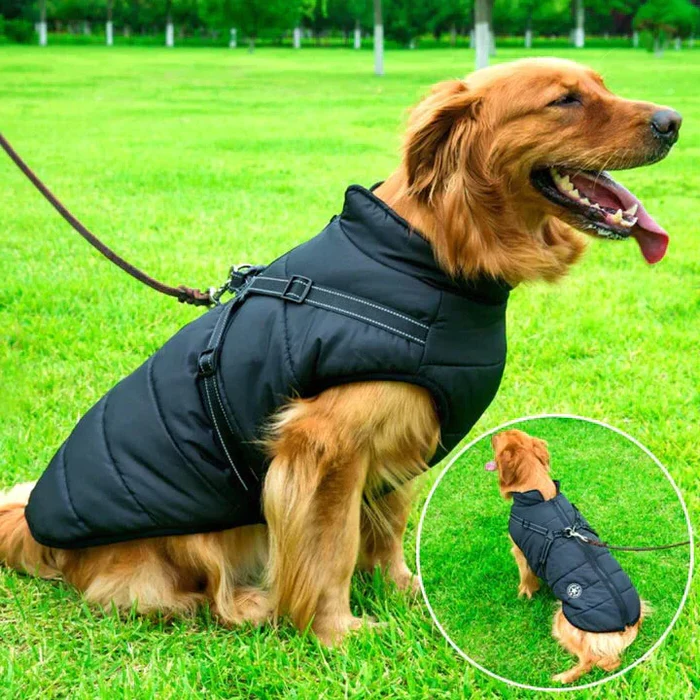 Wasserdichte Winterhundjacke - Sherpa -Fleece Gefüttert - eingebaut 3