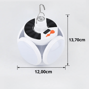Zonne-Energie-Buitenlamp (LED) 6