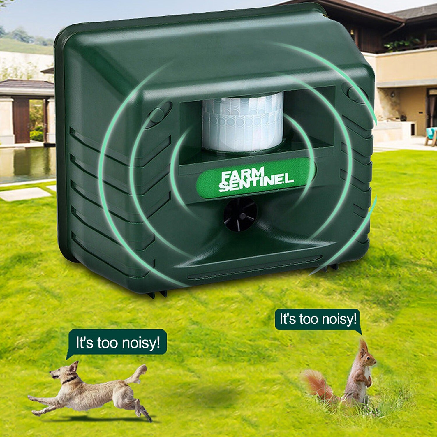 Specht -Ultraschall -Repeller für eine effektive Vogelkontrolle - Werden Sie Spechte los